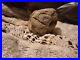 Rare-Native-American-portable-rock-art-01-ngaz