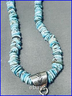 Rare Navajo Spiny Oyster Turquoise Sterling Silver Huge Dragonfly Necklace