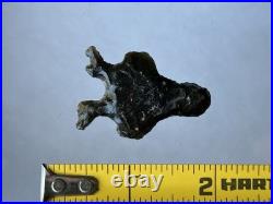Rare Obsidian Flint Eccentric Human Effigy Figure Found In New Mexico Arrowhead