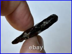 Rare Obsidian Flint Eccentric Human Effigy Figure Found In New Mexico Arrowhead