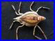 Rare-Old-Native-American-Quilled-Leather-Fetish-Turtle-Amulet-Sd-012508706-01-yost