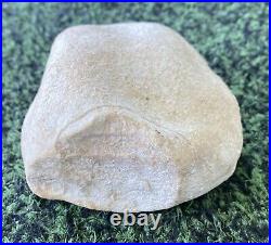 Rare Prehistoric Native American White Granite Snake Head Effigy Stone