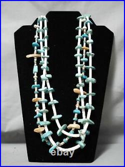 Rare Purple String Vintage Navajo Turquoise Santo Domingo Necklace