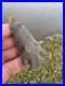 Rare-Serrated-Native-American-Corner-Notch-Pine-Tree-Arrowhead-Point-01-by