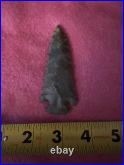 Rare Serrated Native American Corner Notch Pine Tree Arrowhead Point