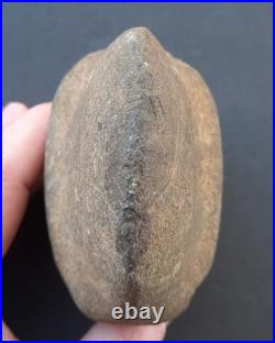 Rare Stone Axe Native American Indian Southern Barbed Full Groove Raised Ridge