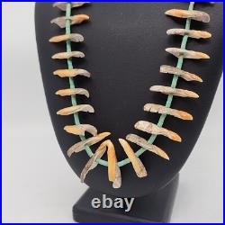 Rare Unique Native American Turquoise Heishi And Conch Shell Necklace