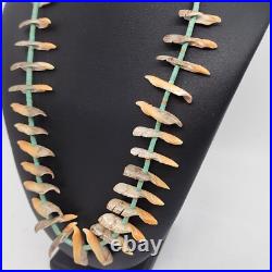 Rare Unique Native American Turquoise Heishi And Conch Shell Necklace