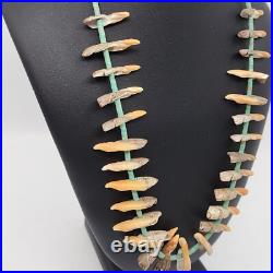 Rare Unique Native American Turquoise Heishi And Conch Shell Necklace