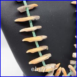 Rare Unique Native American Turquoise Heishi And Conch Shell Necklace