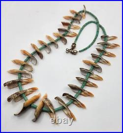 Rare Unique Native American Turquoise Heishi And Conch Shell Necklace