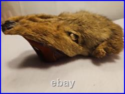 Rare Vintage Native American Preserved Fox Horned Ceremonial Rattle Noise Maker