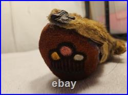 Rare Vintage Native American Preserved Fox Horned Ceremonial Rattle Noise Maker