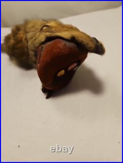 Rare Vintage Native American Preserved Fox Horned Ceremonial Rattle Noise Maker