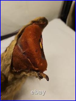 Rare Vintage Native American Preserved Fox Horned Ceremonial Rattle Noise Maker