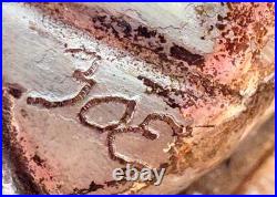 Rare Vintage Turtle Shell Medicine Bag Pouch w Sterling Silver Native American