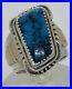 Rare-W-Denetdale-Navajo-Tourqoise-Sterling-14k-Ring-Size-10-01-lh