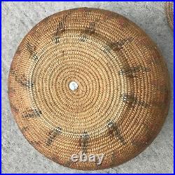 Rare lidded Jicarilla Apache Native American basket withbirds 1920s-30s 12 X 8