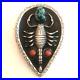 SCORPION-BROOCH-Turquoise-Jade-925-Sterling-Silver-Native-American-RARE-Vintage-01-szk