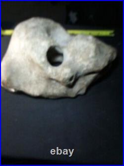 Sale65%offAuthentic Native American Ancient Artifacts Museum Quality Rare Effigy