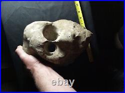 Sale65%offAuthentic Native American Ancient Artifacts Museum Quality Rare Effigy