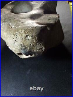 Sale65%offAuthentic Native American Ancient Artifacts Museum Quality Rare Effigy