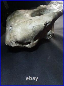 Sale65%offAuthentic Native American Ancient Artifacts Museum Quality Rare Effigy