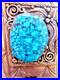 Signed-Roger-Apachito-Navajo-Rare-Spider-Web-Turquoise-Sterling-Silver-Bolo-01-qx