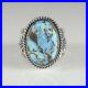 Sunshine-Reeves-Navajo-Sterling-Silver-Ring-Rare-Gem-Golden-Hill-Turquoise-01-hd