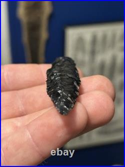 Super Fine Rare Paleo Obsidian Lind Coulee Point