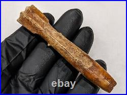 Tomachee Artifacts? ESKIMO INUITS RARE ENGRAVED NEEDLE CASING BERING