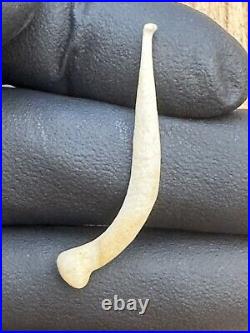 Tomachee Artifacts? ESKIMO INUITS RARE FISH HOOK SHANK KODIAK AK