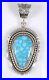 Turquoise-Navajo-Sterling-Silver-Pendant-Rare-Water-Web-Kingman-By-Ned-Nez-01-ulp