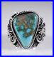 Turquoise-Navajo-Sterling-Silver-Ring-Rare-High-Grade-Fox-Handmade-Andy-Cadman-01-brrb