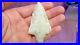 Very-Rare-Newnan-3-16-inch-Projectile-Point-Florida-Archaic-Period-Arrow-Head-01-teo