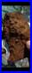 Very-detailed-native-American-effigy-pre-1600-Very-detailed-art-rare-find-01-xhw