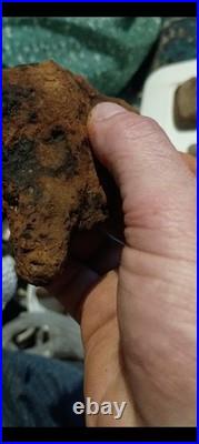 Very detailed native American effigy pre 1600. Very detailed art rare find