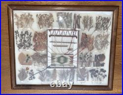 Vintage Native American Framed Navajo Vegetable Dye Chart Rare Collectable