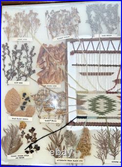 Vintage Native American Framed Navajo Vegetable Dye Chart Rare Collectable