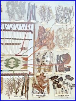 Vintage Native American Framed Navajo Vegetable Dye Chart Rare Collectable
