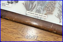 Vintage Native American Framed Navajo Vegetable Dye Chart Rare Collectable