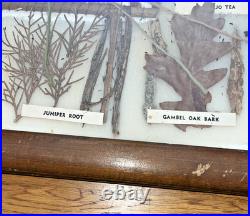 Vintage Native American Framed Navajo Vegetable Dye Chart Rare Collectable