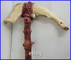 Vintage Native Argentina Bison Jawbone Tomahawk Skull Cracker Rare Peace 24'x15