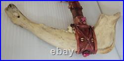 Vintage Native Argentina Bison Jawbone Tomahawk Skull Cracker Rare Peace 24'x15