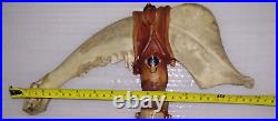 Vintage Native Argentina Bison Jawbone Tomahawk Skull Cracker Rare Peace 24'x15