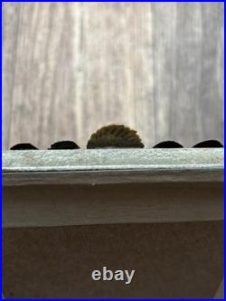 Vtg Rare 1959 Native American Chief Picture Photo Frame High Chief White Wolf