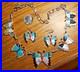 Zuni-Indian-TAMARA-PINTO-Butterfly-Necklace-Earrings-Rare-Pristine-Beautiful-01-hak